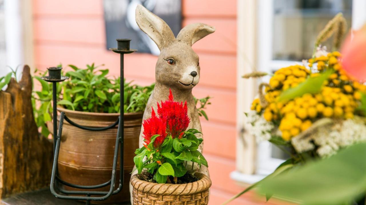 Karja Accommodation Haapsalu Zewnętrze zdjęcie